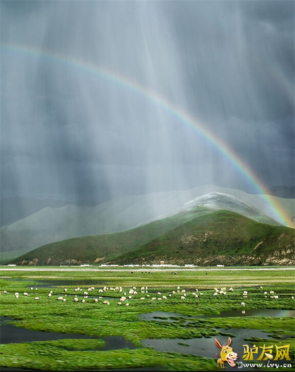 QQ��ͼ20150217141700.jpg